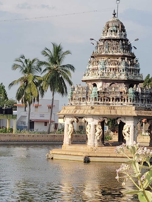 about us centre for special children